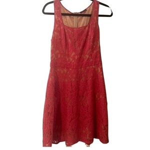 The Limited Petite Salmon Pink Lace Dress